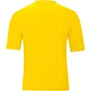 Trikot Team KA JAKO Produktbild-Vorschau 2