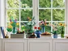 40524 - LEGO Icons - Sonnenblumen Produktbild-Vorschau 7