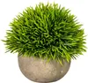 GASPER Knuffige Grashalbkugel im Betontopf 14 cm - Produktbild-Vorschau 3