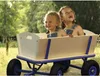 Sunny Billy Chariot De Jardin, Bois - Bleu - 94X61X97Cm/100 Voir les images du produit 9