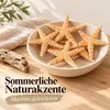 Sugar Seesterne in Holzschale mit Treibholz als sommerliche Naturakzente Produktbild-Vorschau