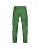 A pair of green cargo pants shown from the back. Produktbild-Vorschau
