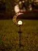 Northpoint LED Solar Gartenstab Solarstecker Außenbereich Produktbild-Vorschau 3