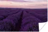 MuchoWow® Poster Lavendel - Lila - Blumen - Natur 120x80 cm Produktbild-Vorschau 1