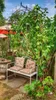 GardenAndPools Rosenbogen Paris Lilie Spitze B-2,40 m Produktbild-Vorschau 14