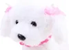 Close-up of a white toy dog's face with pink bows and a pink collar. Podgląd zdjęcia produktu