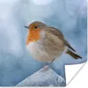 MuchoWow® Poster Rotkehlchen - Winter - Blau 50x50 cm - Produktbild-Vorschau 1