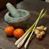 Zitronengras  Samen - Cymbopogon citratus - Produktbild-Vorschau 6