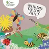 Owngrown Bienenwiesen-Blumenmischung 100 g Produktbild-Vorschau 13