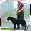 Reflektierender Gurt, Laufradweste Produktbild-Vorschau 4