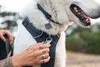 Ruffwear Front Range™ Hundegeschirr Produktbild-Vorschau 7