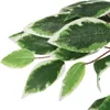 vidaXL Ficus Artificiel 1008 feuilles 180 cm Vert Voir les images du produit 2
