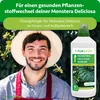 Purgrün Monstera-Deliciosa-Dünger 1 Liter, Produktbild-Vorschau 2