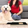 Tablette à gratter pour chien, ponceuse à ongles double Voir les images du produit 7