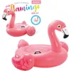 Intex RideOn Flamingo - aufblasbares Produktbild-Vorschau 11