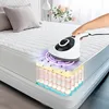 Bob Home Milbensauger 300W mit UV-C-Licht & HEPA-Filter – Produktbild-Vorschau 3
