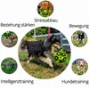 Amico dei cani Calcio per cani Luminoso con maniglie, Anteprima dell’immagine prodotto 5