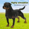 Rottweiler Simulationsmodell Ornamente Desktop Dekoration Produktbild-Vorschau 4