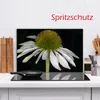 Herdabdeckplatte Glaskeramik 1 Teilig 80x52 Pflanzen Weiß Produktbild-Vorschau 14