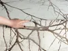 A hand is shown touching a rug with a branch pattern. Náhled obrázku produktu