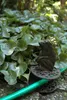 Esschert Design Gartenschlauchführung Froschkönig; TG34 Produktbild-Vorschau 3
