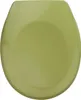 A top-down view of a green toilet seat. Anteprima dell’immagine prodotto