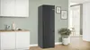 A modern kitchen scene with a black refrigerator as the main focus, alongside white cabinetry and a plant. Produktbild-Vorschau
