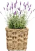 Pflanzkorb Leah Bali Naturfaser 31 x 31 x 32 cm grau braun Produktbild-Vorschau 2