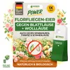 Green Guardia Florfliegenlarven gegen Blattläuse und Produktbild-Vorschau 1