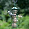 Two birds are eating from a bird feeder filled with suet balls. Produktbild-Vorschau