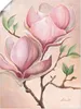 ARTland Poster Magnolienblüten Größe: 60x80 cm Produktbild-Vorschau 1