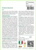 SAFLAX  - Profumi seducenti - 1000 semi - Mix Anteprima dell’immagine prodotto 3