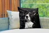 MuchoWow® Outdoor Kissen - Porträt eines Border Collie - Produktbild-Vorschau 3