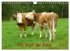 Die Welt der Kühe (Wandkalender 2027 DIN A4 quer), CALVENDO Produktbild-Vorschau 1