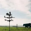 READCLY Wetterfahne im Vintage-Stil aus Metall in Hahnform Produktbild-Vorschau 5