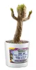 Guardians of the Galaxy inter aktive Figur Dancing Groot Produktbild-Vorschau 1
