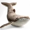 Carl Dick, balena megattera di circa 40 cm, peluche 3660 Anteprima dell’immagine prodotto 2