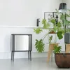 Brabantia Bo Touch Bin 34 L 2 cestini Beige Anteprima dell’immagine prodotto 19