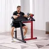2 v 1 lavice pro bicepsové zdvihy a tricepsové prodloužení Náhled obrázku produktu 8
