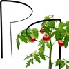 Support pour plantes vivaces en métal 70 cm (x1) - Support Voir les images du produit 1