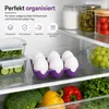 Eierhalter für 6 Eier Kühlschrank Eierablage Eiereinsatz Produktbild-Vorschau 4