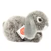 Teddy Hermann Lapin bélier, doudou, peluche, lapin, lapin, Voir les images du produit 1