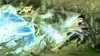 Naruto Shippuden - Ultimate Ninja Storm 4 [PS4] Produktbild-Vorschau 3