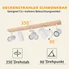 A diagram illustrating the adjustable features of a ceiling spotlight. Produktbild-Vorschau