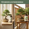 Green Home Love Nature Bonsai-Dünger 1 l, Flüssigdünger NPK Produktbild-Vorschau 6