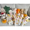 Minicee Plüschdrache 50 cm – Kuscheltier Drachenkissen zum Produktbild-Vorschau 6
