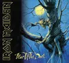 Fear Of The Dark (2015 Remaster) Produktbild-Vorschau 1