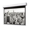 DELUXX Professional Motorleinwand 16:9 Mattweiss Vision Pro Produktbild-Vorschau 1