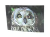 3 D Ansichtskarte Sumpfohreule,  Vögel Postkarte Produktbild-Vorschau 2