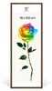 MG Design Bilderrahmen Braun 35x100 cm - Posterrahmen Produktbild-Vorschau 1